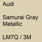 Preview: Audi, Samurai Gray Metallic, LM7Q / 3M.